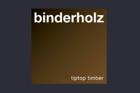 Logo Binderholz